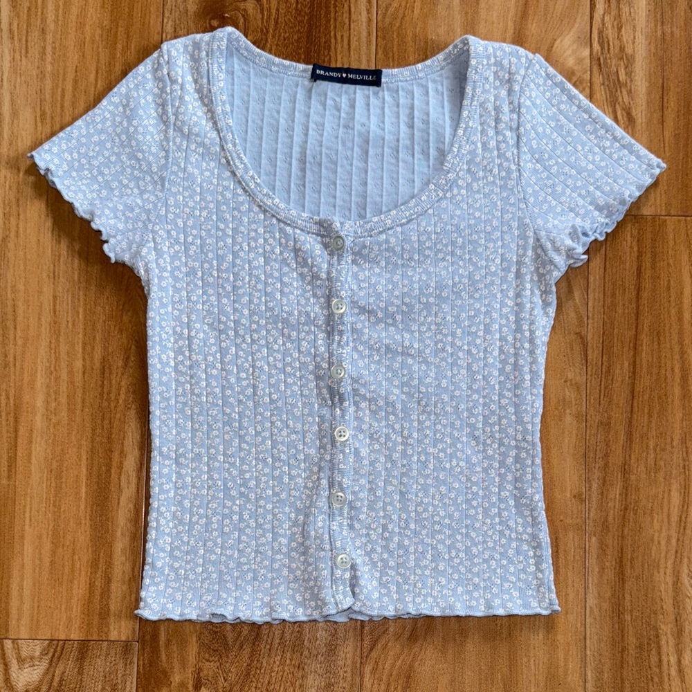 Brandy Melville Light Blue Floral Button-Down Crop Top